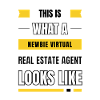 Newbie virtual real estate agent