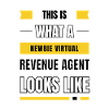 Newbie virtual revenue agent