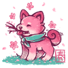 Spring Time Shiba