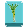 Leek Vegetable Plant