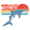 Whale shark