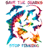 Save the Sharks Shark Species
