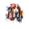Basset Hound
