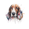 Basset Hound