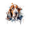 Basset Hound