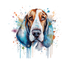Basset Hound