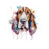 Basset Hound