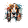 Basset Hound