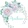 Pour Ambre