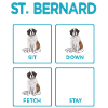 Saint-Bernard Chien Saint-Bernard