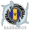 Barbados Hammerhead Shark