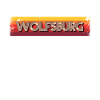 Wolfsburgerin Wolfsburger Wolfsburg