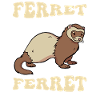 Ferret polecat