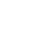 Tiermotiv Waschbär