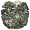 Bonsai - Japanese Garden