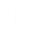 Polygon Cat
