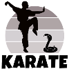 karate, karate fan, karateka