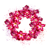 oleander,flowers,wreath,floral,hibiscus