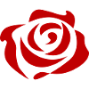 rose rouge