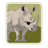 Rhinoceros Rhinoceros Rhinos Gift