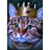 Katze mit Krone