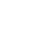 Border Collie Dad