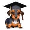 Diploma di laurea Diploma di maturità dei cani bassotto