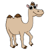 Camel