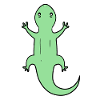 Lizards Lizard Green Reptiles