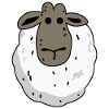 Sheep Sheep Funny Sheep