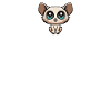 Galago