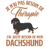 Chien dachshund