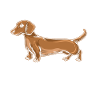 Gravhund gave Dixie Wiener Doxie Gravhund