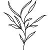 Arbustes, arbustes, branches