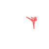 MMA King