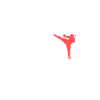 MMA King