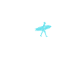 Surfer King