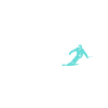 Ski King