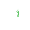 Roi du tennis