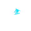 Roi du snowboard