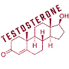 testosterone molecule