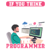 Softwareentwickler Try Programmer Programmierer