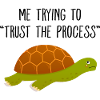 Jag försöker lita på processen Turtle Meme