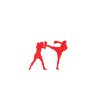 Mixed Martial Arts MMA