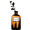 Love from the bottle