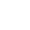 Maus Mäuse Rennmaus