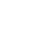 Maus Mäuse Rennmaus
