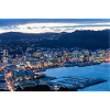 Wellington By Night