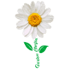 Gänseblümchen Gärtnerinnen Blumenliebe Gartenfan