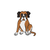 Boxer Dog Gifts